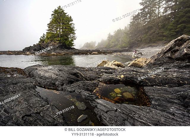 Botanical Beach Provincial Park and Botany Bay - Juan de Fuca Marine Trail - Port Renfrew, Vancouver Island, British Columbia, Canada