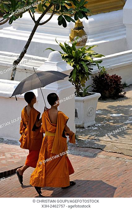 novice monks walking in Sakkarine Rd in front of Wat Sop temple, Luang Prabang, northern Laos, Southeast Asia