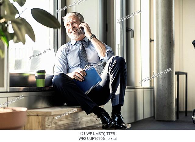 Smiling mature businessman with notebook sitting at the window talking on cell phone