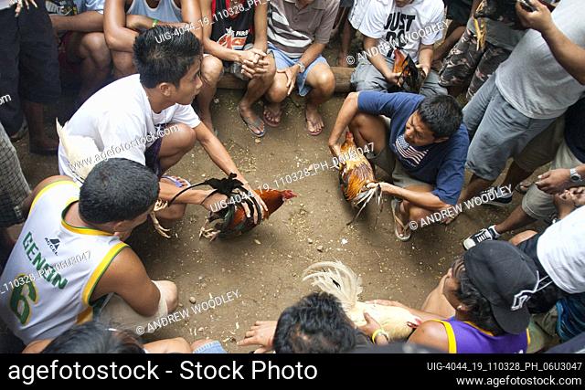 Cockfighting Boracay Philippines