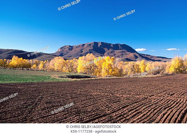 Freshly plowed field in Autumn near Steamboat Springs, Colorado, USA