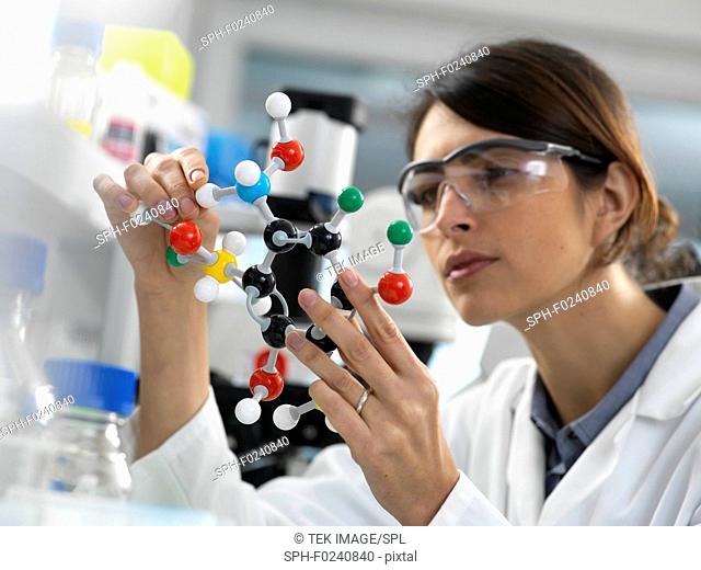 Female scientist designing a chemical formula using a ball and stick molecular model in the laboratory