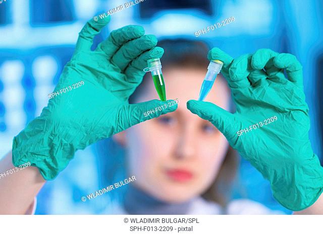 Scientist wearing latex gloves holding eppendorf tubes