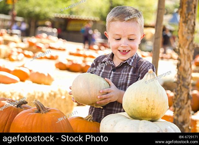 Adorable little boy gathering his pumpkins at a pumpkin patch on a fall day