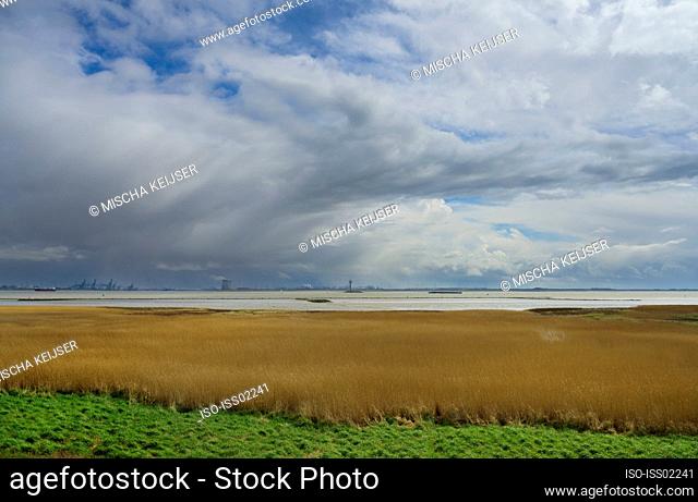 Netherlands, Zeeland, Floodlands around Westerschelde river