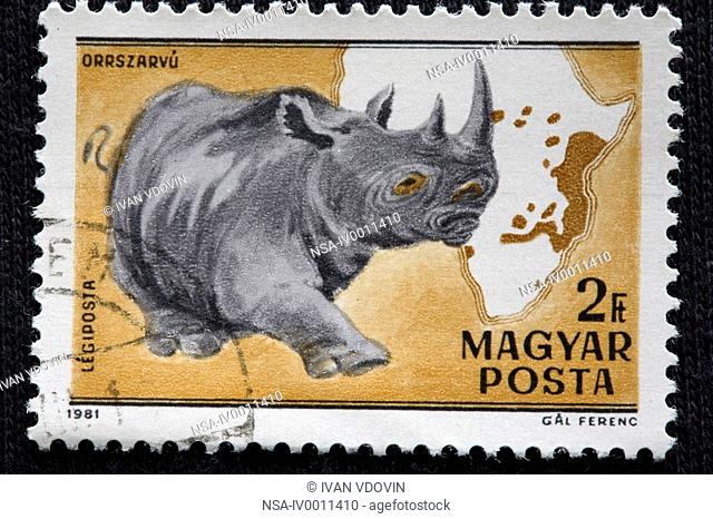 White Rhinoceros or Square-lipped rhinoceros Ceratotherium simum, postage stamp, Hungary, 1981