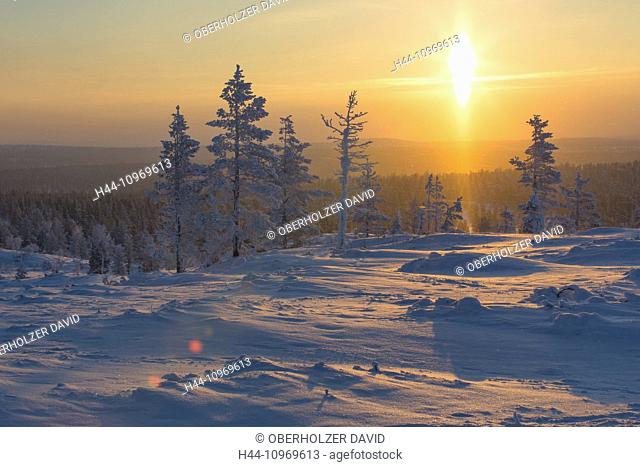 Trees, Europe, Finland, Kiilopää, scenery, landscape, Lapland, light mood, snow, Urho Kekkonen, national park, winter