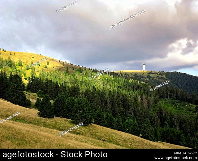 feldberg, landscape, black forest, baden-wuerttemberg, germany