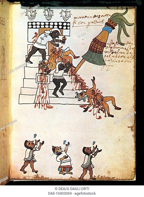 Mexico, 16th century. A facsimile of the 'Codex Tudela' manuscript, 1553. Illustration of Indians making human sacrifices