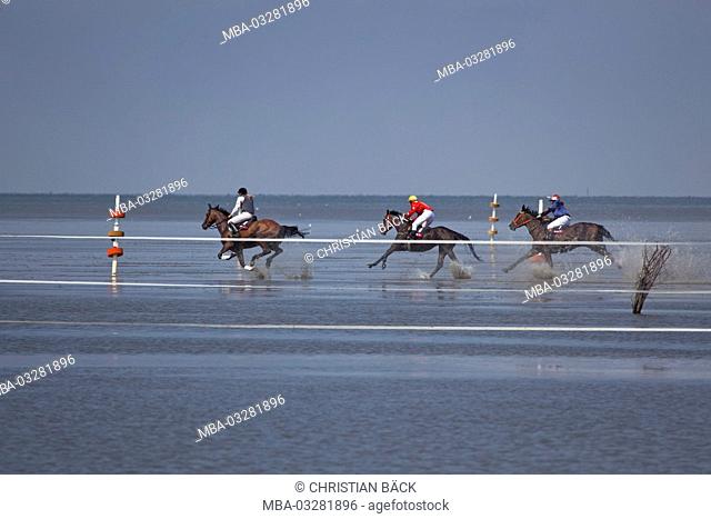 Duhner mudflat races, Duhnen, Cuxhaven, Lower Saxony, Germany, Europe