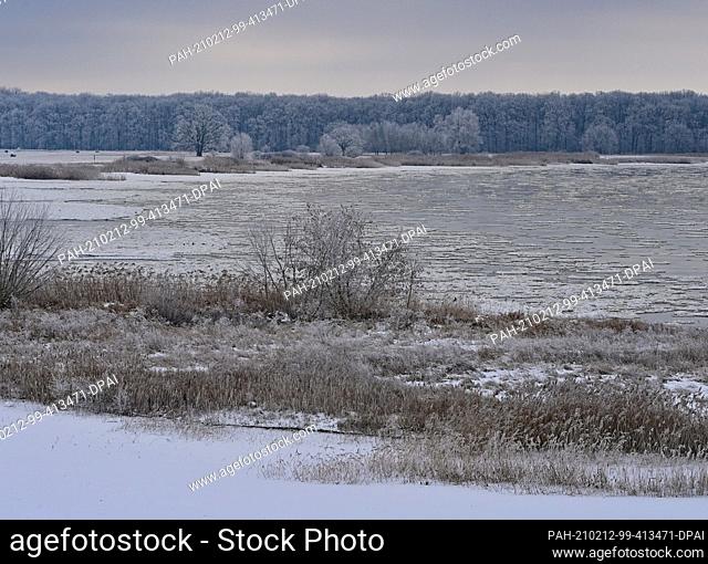 12 February 2021, Brandenburg, Frankfurt (Oder): View from the city bridge, the German-Polish border crossing, on ice floes, so-called Brieger Gänse
