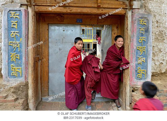 Two young novice monks, students standing in front of the entrance to a Buddhist monastery school, monastery building in the traditional architectural style