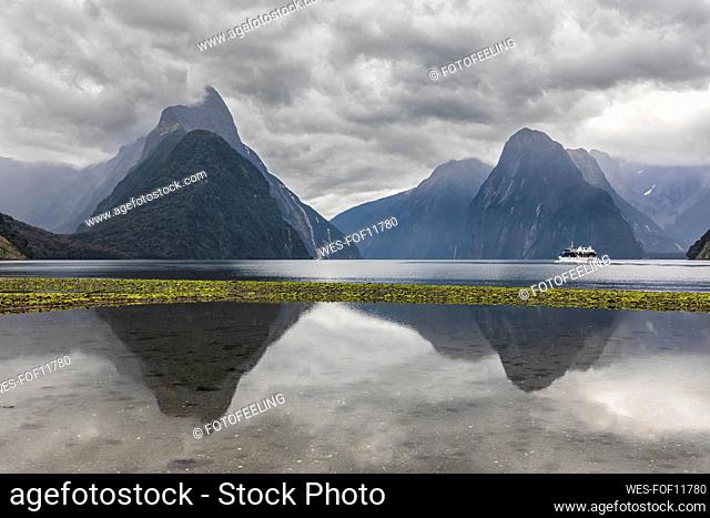 New Zealand, Oceania, South Island, Southland, Fiordland National Park, Mitre Peak and Milford Sound beach at low tide with green algae on pebbles