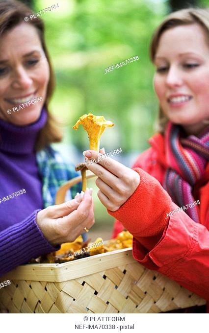 Mother and daughter picking mushrooms Sweden