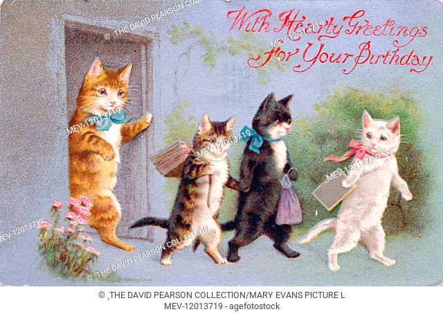 Kittens going to school on a birthday postcard, with their mother watching from the front door