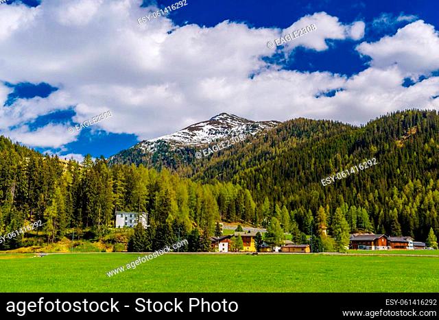 Alps mountains covered with pine forest, Davos, Graubuenden, Switzerland
