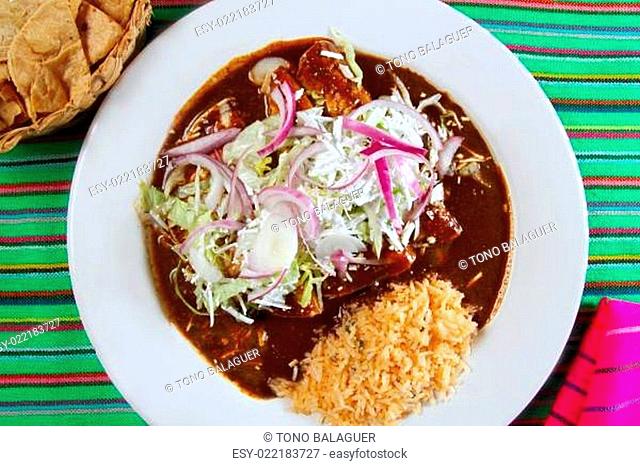 enchiladas de mole and rice Mexican food