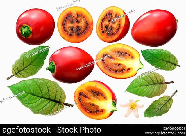 Tamarillo (Solanum betaceum) fruits, leaves, flower as elements
