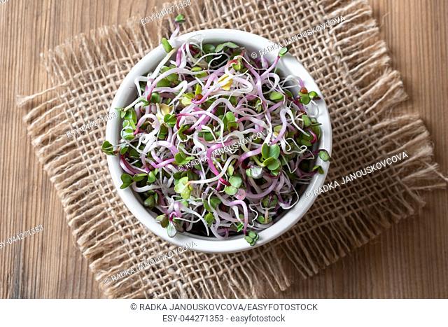 Fresh pink radish sprouts in a bowl, top view