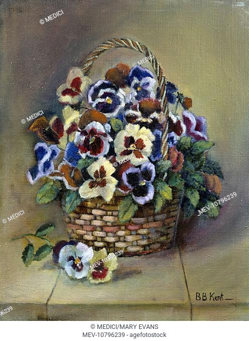 Multi Coloured Pansies in a Basket