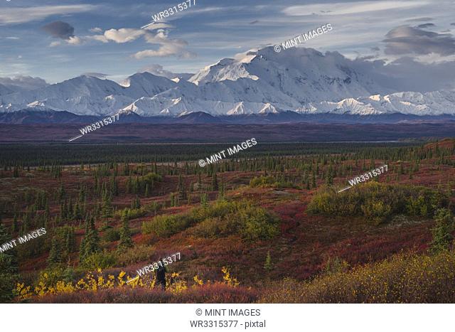 Asian hiker admiring scenic view of mountain range