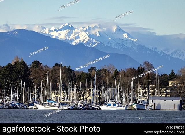 Oak Bay Marina with the Olympic Mountains in the background, Oak Bay - near Victoria, Vancouver Island, British Columbia, Canada