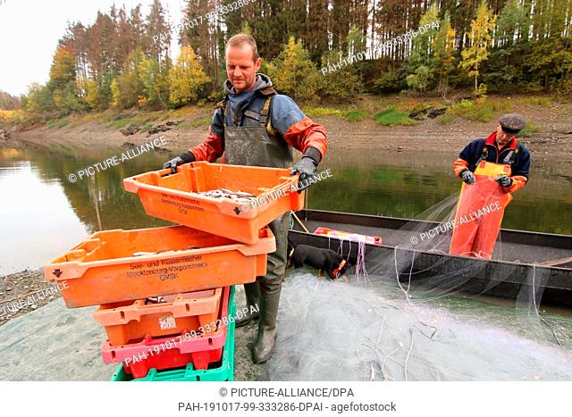 15 October 2019, Saxony-Anhalt, Hasselfelde: Professional fisherman Sven Ahlendorf (left) and Gernot Quaschny fish the small whitefish