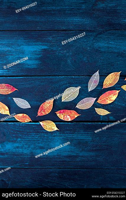 Autumn background with flat lay vibrant autumn leaves on a dark blue wooden texture, a design template with a place for text