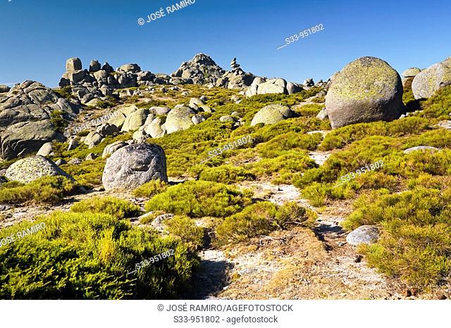 Granito en la Sierra de la Paramera  Ávila  Castilla León  España