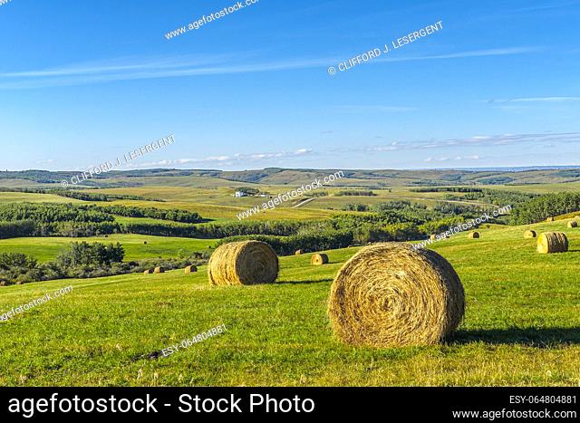 Bales of hay in a farmer's field in the Alberta foothills southwest of Calgary