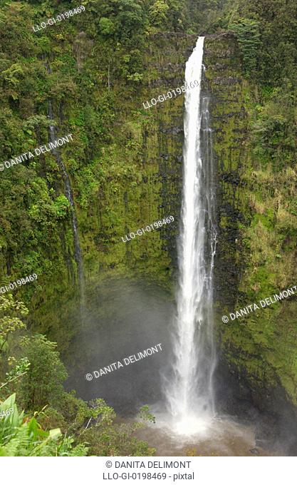 Akaka Falls, Hamakua Coast, Island of Hawaii, Hawaii, USA