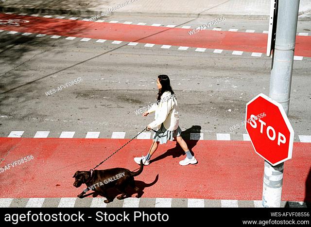 Mid adult woman crossing street with Labrador Retriever