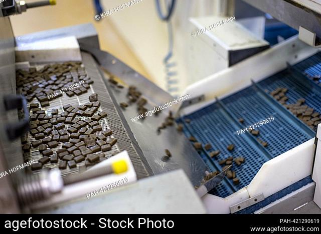 Sallo's candies are conveyed through a machine in the glazed candy factory Katjes in Potsdam, Germany, 15 August 2023. - Potsdam/Deutschland