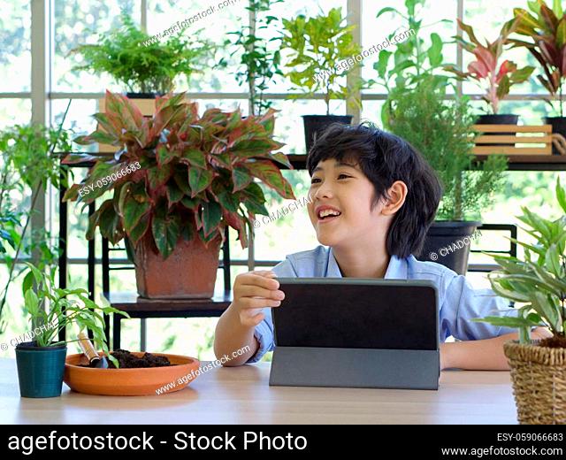 Asian boy spend holiday in greenhouse planting room, researching ornamental plants on the Internet
