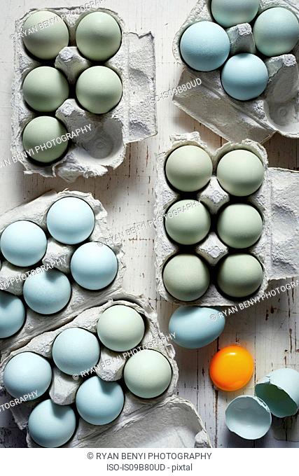 Blue and green chicken eggs in cartons