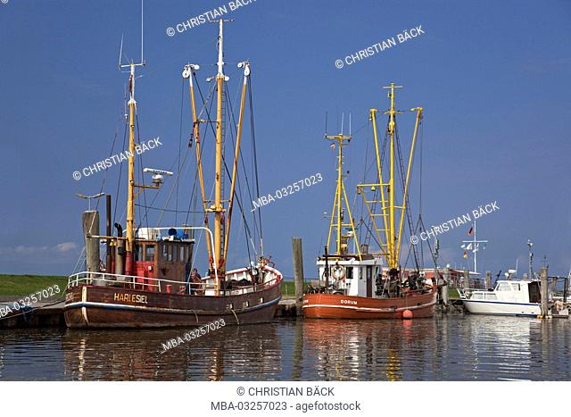 Crab cutters in the harbour of Dorum, Dorum-Neufeld, country of Wursten, Lower Saxony, Germany, Europe