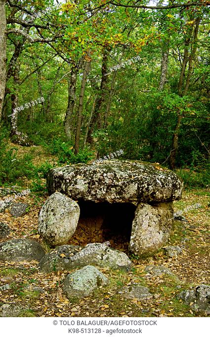 Cornudella dolmen. Bosque de Transás. Pirineo Aragonés. Huesca province. Spain