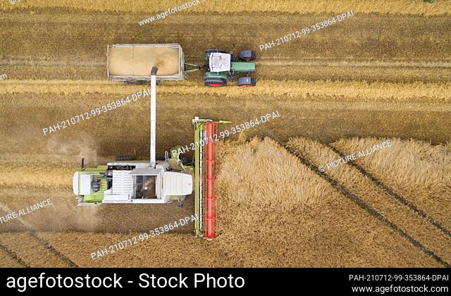 PRODUCTION - 10 July 2021, North Rhine-Westphalia, Herzebrock-Clarholz: A combine harvests grain in a field with barley. Next to it