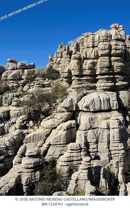 Erosion working on Jurassic limestones, Torcal de Antequera, province of Málaga, Andalusia, Spain, Europe