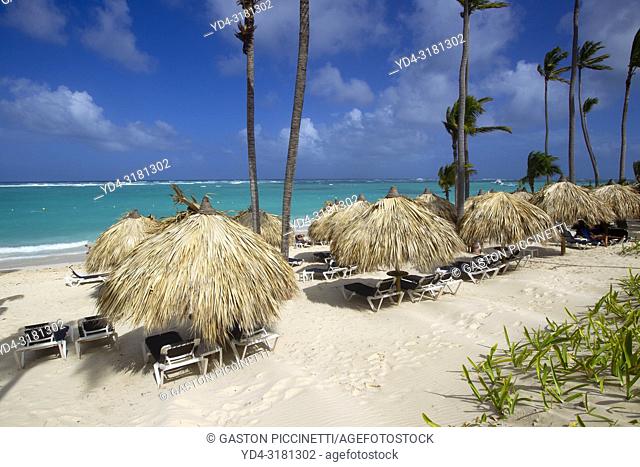 White sand beach, palm trees and crystal clear water, Bávaro beach, Verón Punta Cana, Higüey municipality, La Altagracia province, República Dominicana