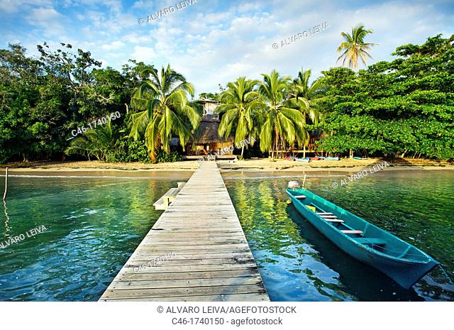 Al natural resort, Bastimentos island, Bocas del Toro province, Caribbean sea, Panama