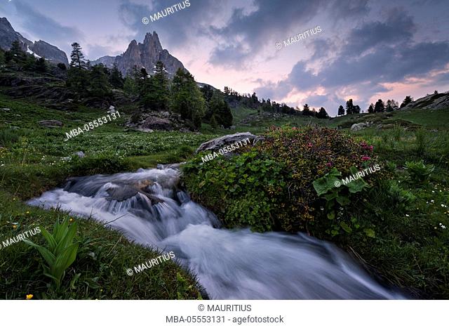 France, Alps, mountains, Vallée de la Clarée, meadow, spring, idyllic, paradise, flowers, clouds, mood, magical, mystical, sunset, evening, brook, rush, rocks