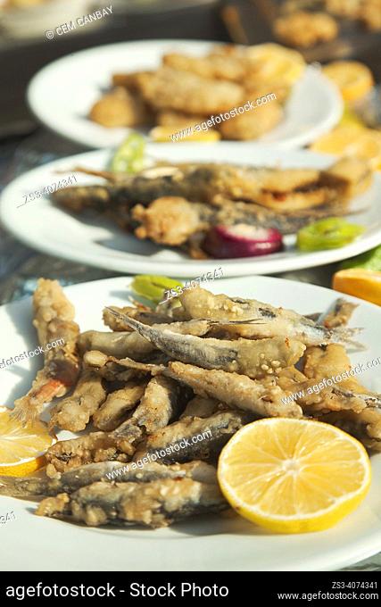 Close up shot of fried mackerel in a plate served with lemon in a restaurant in Cengelkoy village, a neighbourhoods on the Asian side of the Bosphorus in Beykoz...
