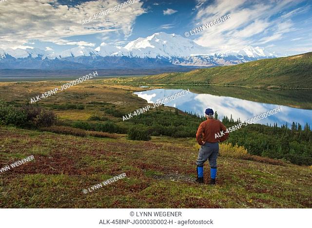 Mature male hiker views Mt. McKinley and the Alaska Range with Wonder Lake in the foreground, Denali National Park, Interior Alaska, Fall