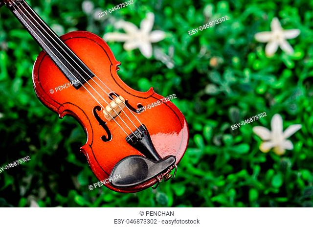 Violin on green grass