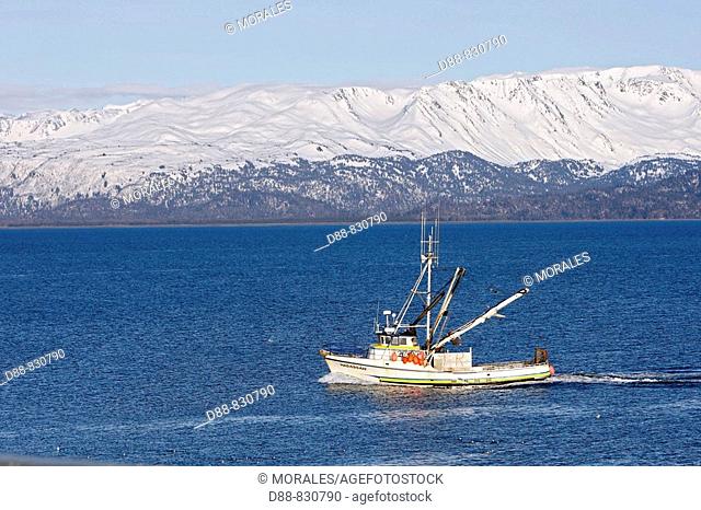 Fishing boat, Homer, Kenai Peninsula, Alaska, USA