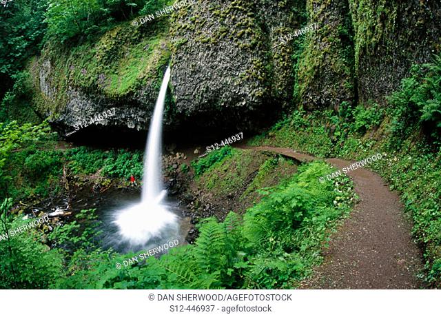 Upper Horsetail Falls. Columbia River Gorge. Oregon. USA