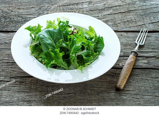 Green leaf lettuce on a plate