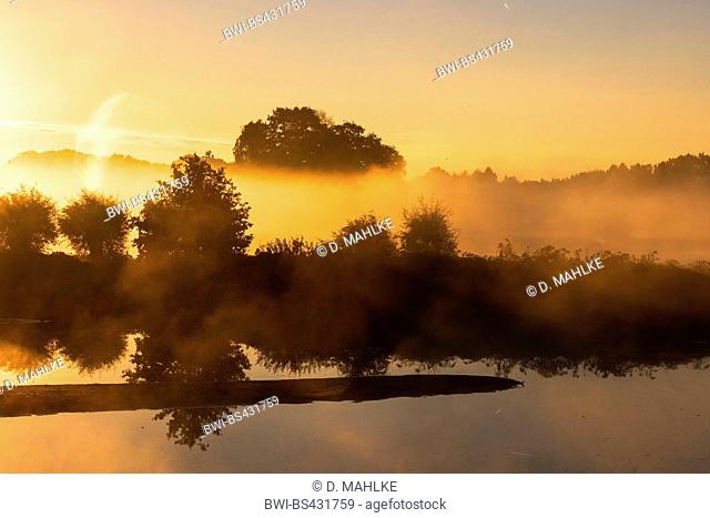 sunrise with morning mist at the nature reserve Steinhorster Becken, Germany, North Rhine-Westphalia