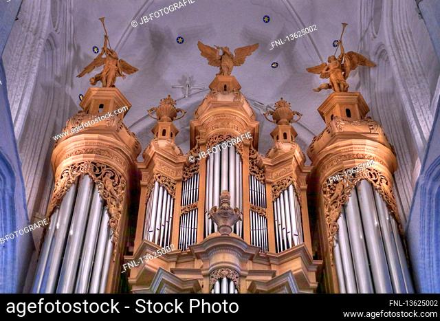 Church organ, St. Katharinenkirche, Hamburg, Germany, Europe